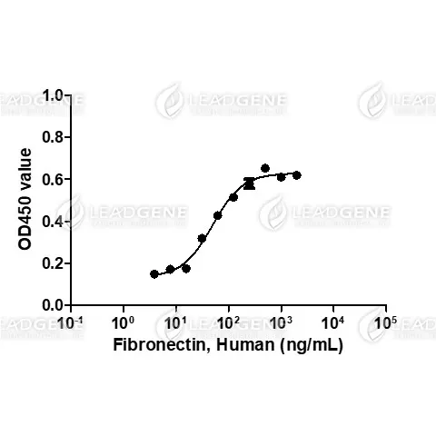 Human Fibronectin, His Tag, E. coli
