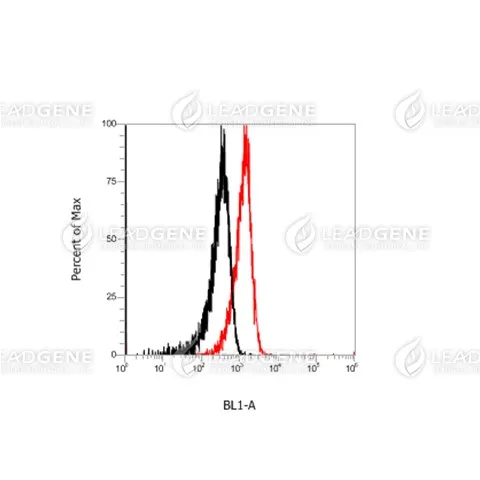 Anti-CD3 Antibody [Clone OKT3]