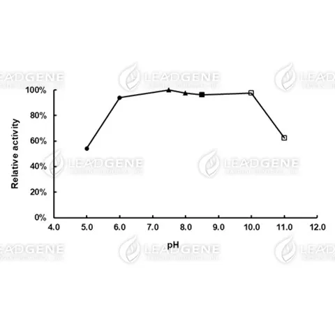 Lactate Oxidase (LOX)