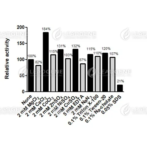 Lactate Oxidase (LOX)