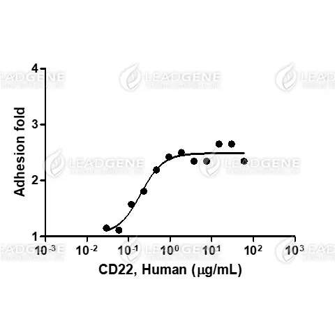 Human CD22, His Tag, CHO