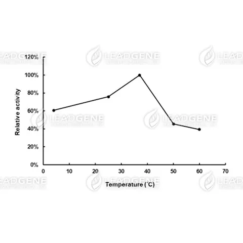Temperature activity of GPO. The enzyme reactions in 0.2 M KH2PO4-NaOH, pH 7.0, were carried out under different temperatures.