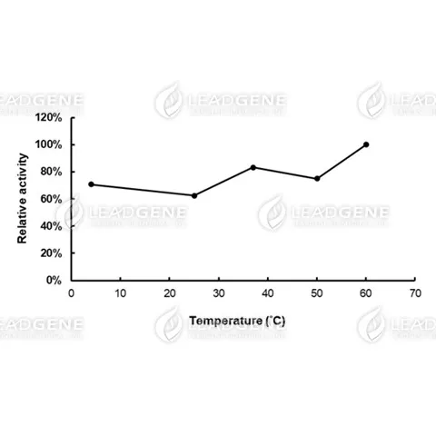 Temperature activity of NADH Oxidase. The enzyme reactions in 0.2 M Tris-HCl buffer, pH 7.5, were carried out under different temperatures.