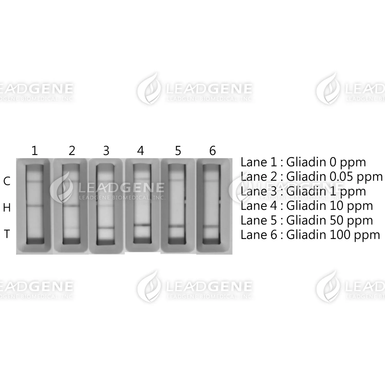Gliadin Allergen EasyRead Rapid Test Kit (10T/Box)