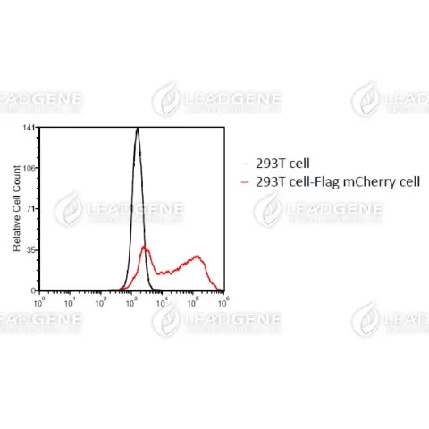 Flow cytometry analysis of anti-mCherry mAb (1:1000)