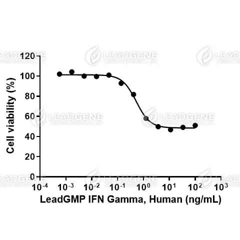 LeadGMP® Human IFN Gamma Protein, His Tag, E. coli