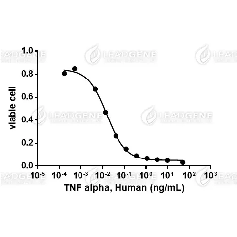 LeadGMP® Human TNF Alpha Protein, His Tag, E. coli (LDG014PHE-GMP) induce cytotoxicity in L929 cells with the ED₅₀ < 0.1 ng/mL.
