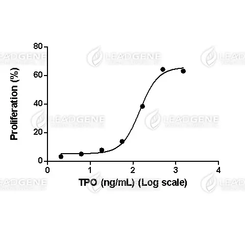 LeadGMP® Human TPO Protein, His Tag, E. coli
