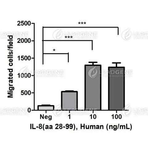 Human IL-8 (aa 28-99), His Tag, E. coli