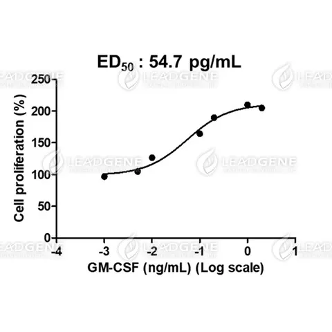 Human GM-CSF, His Tag, E. coli