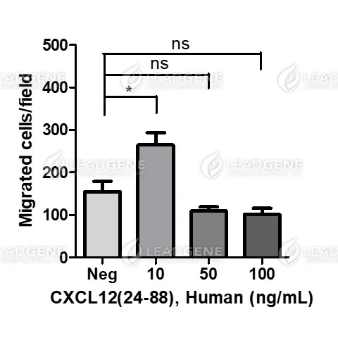 Human CXCL12 (aa 24-88), His Tag, E. coli