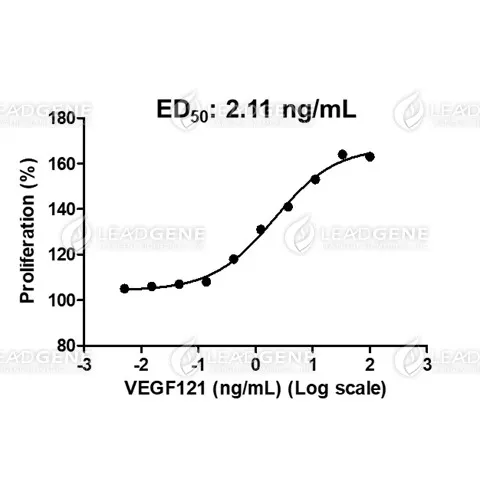 Human VEGF121, His Tag, E. coli