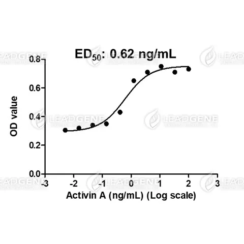Human Activin A, His Tag, E. coli