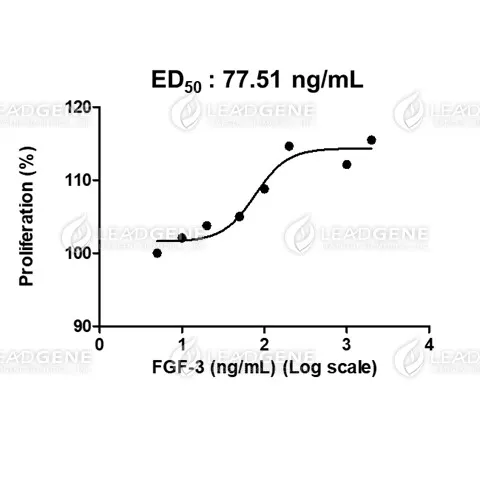Human FGF-3, His Tag, E. coli