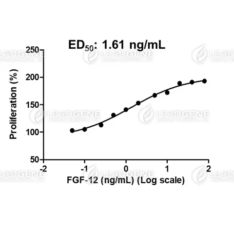 Human FGF-12, His Tag, E. coli
