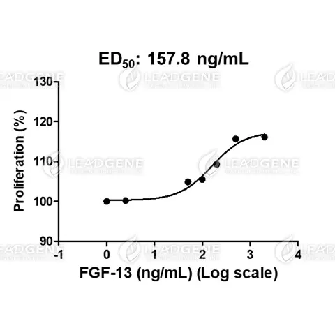 Human FGF-13, His Tag, E. coli