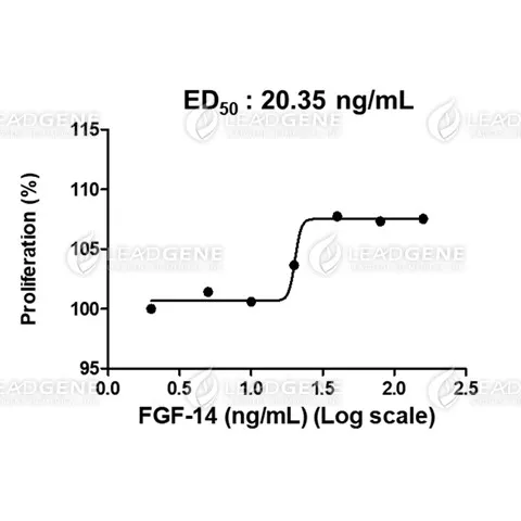 Human FGF-14, His Tag, E. coli