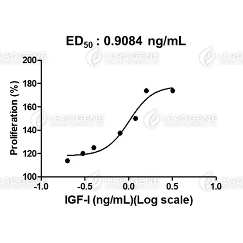 Human IGF-I, His Tag, E. coli