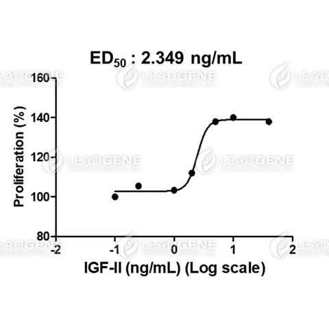 Human IGF-II, His Tag, E. coli