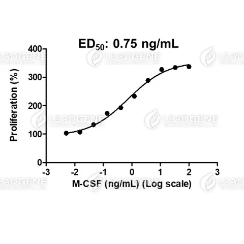 Human M-CSF, His Tag, E. coli