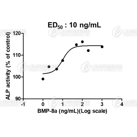 Human BMP-8a, His Tag, E. coli