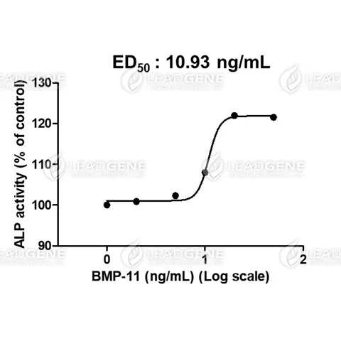 Human BMP-11, His Tag, E. coli