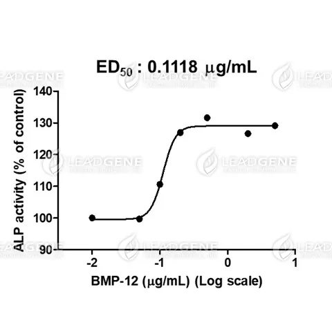 Human BMP-12, His Tag, E. coli