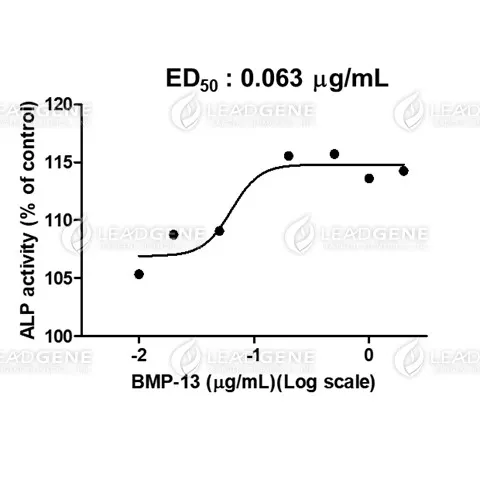 Human BMP-13, His Tag, E. coli