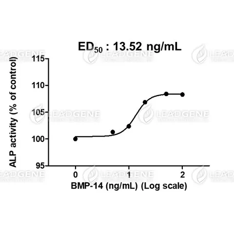 Human BMP-14, His Tag, E. coli