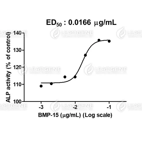 Human BMP-15, His Tag, E. coli