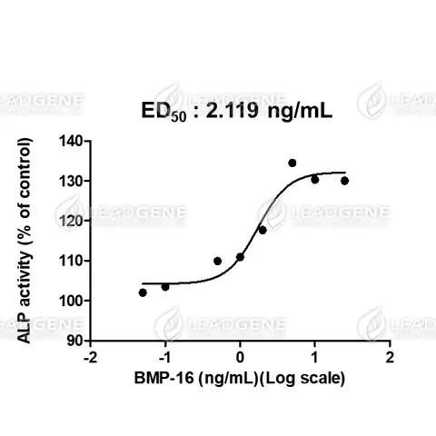 Human BMP-16, His Tag, E. coli