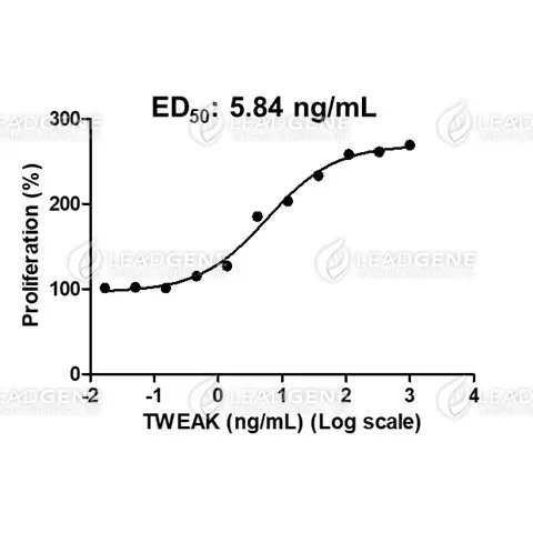 Human TWEAK, His Tag, E. coli