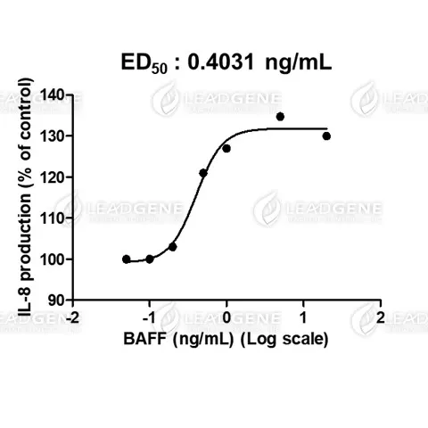 Human BAFF, His Tag, E. coli