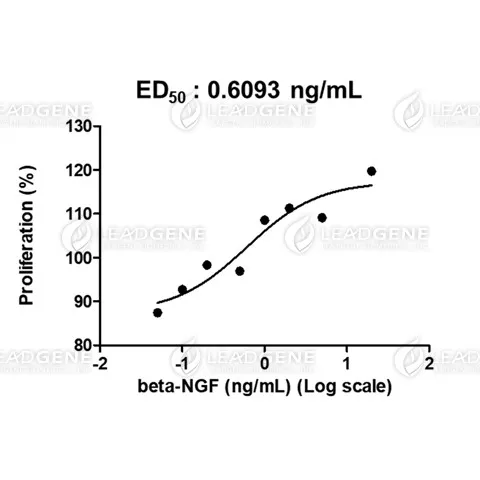 Human Beta-NGF, His Tag, E. coli