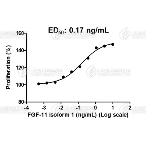 Human FGF-11 Isoform 1, His Tag, E. coli