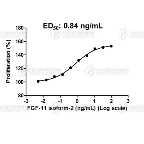 Human FGF-11 Isoform 2, His Tag, E. coli