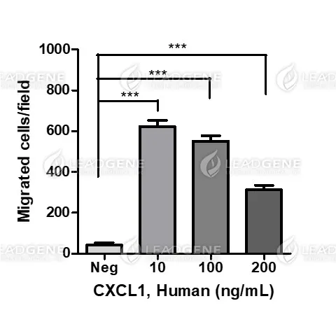 Human CXCL1, His Tag, E. coli