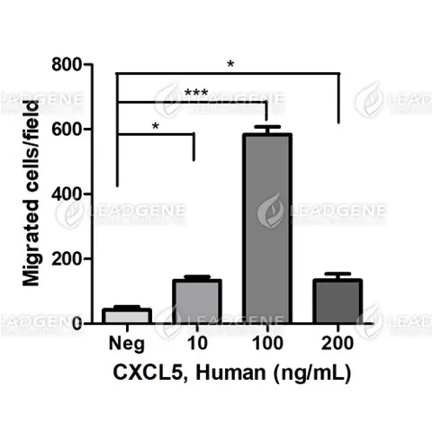 Human CXCL5, His Tag, E. coli
