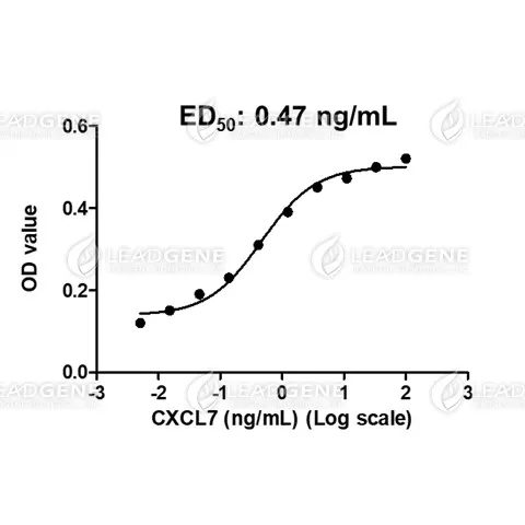 Human CXCL7, His Tag, E. coli