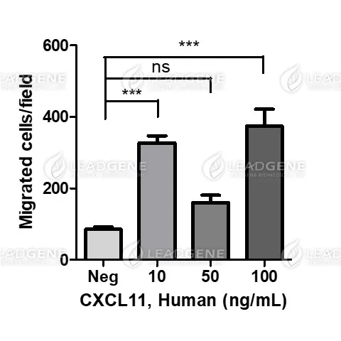 Human CXCL11, His Tag, E. coli