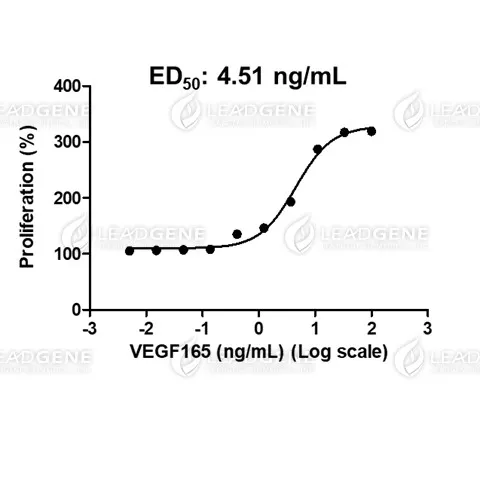 Human VEGF165, His Tag, E. coli