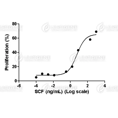 Human SCF, His Tag, E. coli