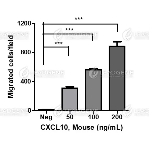 Mouse CXCL10, His Tag, E. coli