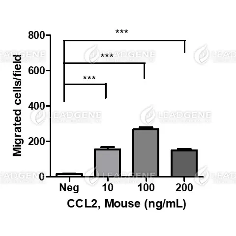 Mouse CCL2, His Tag, E. coli
