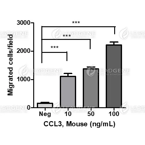 Mouse CCL3, His Tag, E. coli