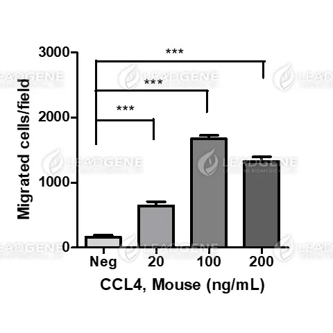 Mouse CCL4, His Tag, E. coli
