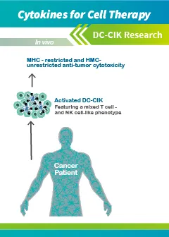 DC_CIK Research