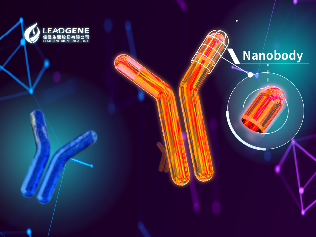 nanoboy vhh